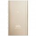 Sony Walkman NW-A55[NWA55LN.CEW]