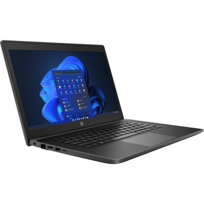 Ноутбук HP ProBook Fortis 14-G10 14&quot; FHD IPS AG, Intel i3-1210U, 8GB, F256GB, UMA, Win11P, чорний