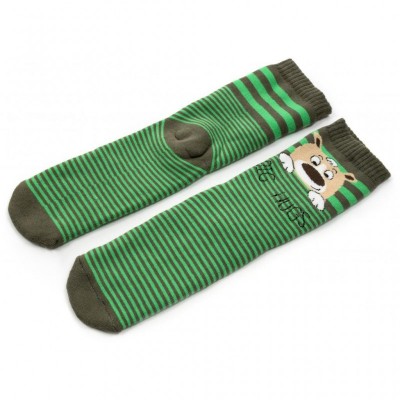 Шкарпетки Bross махрові з ведмедиками (18352-1B-green)