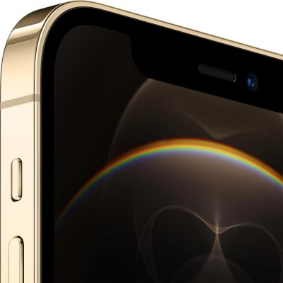 Мобильный телефон Apple iPhone 12 Pro 256Gb Gold (MGMR3)