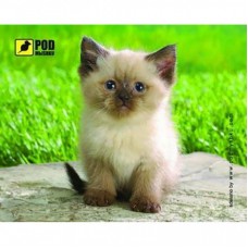 Килимок для мишки Pod Mishkou Сиамский котик Килимок для мишки Pod Mishkou Сиамский котик