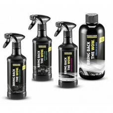 Комплект моющих средств Karcher по уходу за авто Комплект моющих средств Karcher по уходу за авто