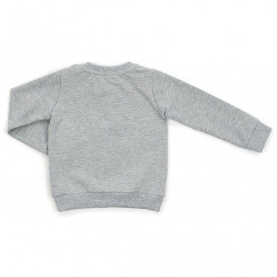 Набір дитячого одягу Breeze з тигриком (14730-92B-gray)