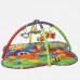 Детский коврик Playgro Пони (0182618)