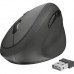 Мышка Trust Orbo Compact Ergonomic Wireless Black (23002)