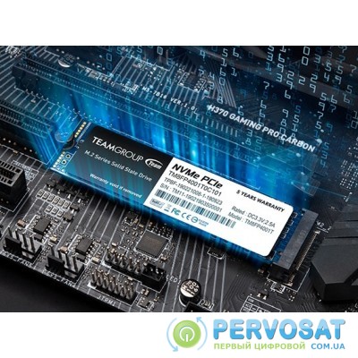 Team MP34 M.2 PCIe SSD[TM8FP4256G0C101]