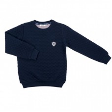 Кофта Breeze з емблемою (9946-140B-blue) Кофта Breeze з емблемою (9946-140B-blue)