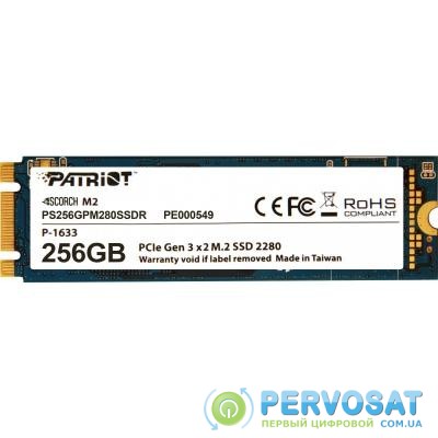 Накопитель SSD M.2 2280 256GB Patriot (PS256GPM280SSDR)