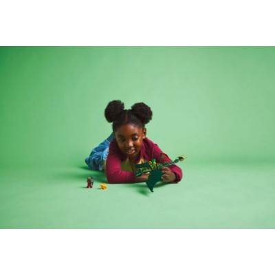 Конструктор LEGO Ninjago Зелений лісовий дракон Ллойда