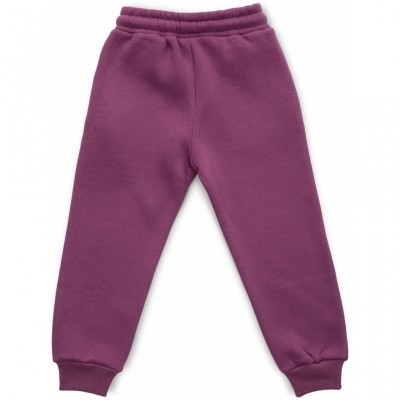 Штани дитячі Cloise спортивні на флісі (CL0154012-104G-purple)