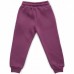 Штани дитячі Cloise спортивні на флісі (CL0154012-104G-purple)