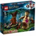 Конструктор LEGO Заборонений ліс: Грохха і Долорес Амбрид (75967)