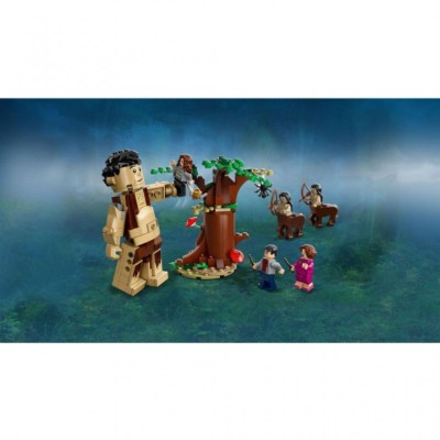 Конструктор LEGO Заборонений ліс: Грохха і Долорес Амбрид (75967)