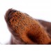 М'яка іграшка sigikid Beasts Лис і качка 21 см 38361SK