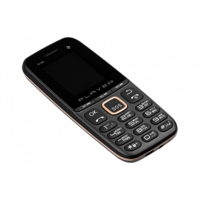 Мобільний телефон 2E S180 2021 2SIM без ЗУ Black & Gold