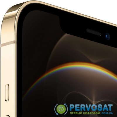 Мобильный телефон Apple iPhone 12 Pro Max 128Gb Gold (MGD93)