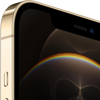 Мобильный телефон Apple iPhone 12 Pro Max 128Gb Gold (MGD93)