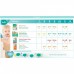 Подгузник Pampers Premium Care Midi Размер 3 (5-9 кг), 20 шт (4015400687818)