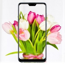 Мобильный телефон ASUS ZenFone Max Pro (M2) ZB631KL 6/64 GB Cosmic Titanium (ZB631KL-4J068EU)