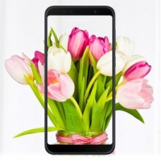 Мобильный телефон ASUS ZenFone Max Pro (M1) ZB602KL 3/32 GB Black (ZB602KL-4A144WW)