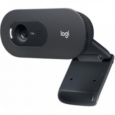Веб-камера Logitech C505 HD (960-001372) Веб-камера Logitech C505 HD (960-001372)