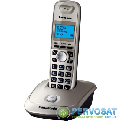 Panasonic KX-TG2511UA[Platinum]