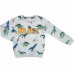 Набор детской одежды A-Yugi с динозаврами (13676-98B-gray)