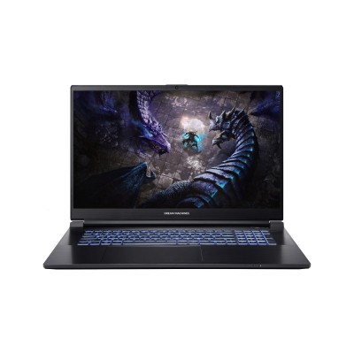 Ноутбук Dream Machines G1650-17 17.3FHD IPS, Intel i7-13700H, 16GB, F1TB, NVD1650-4, DOS, чорний