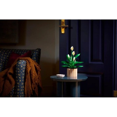 Конструктор LEGO Botanicals Спатифілум Конструктор LEGO Botanicals Спатифілум