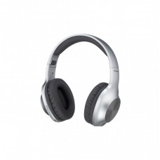 Навушники Panasonic RB-HX220BEES Gray (RB-HX220BEES)