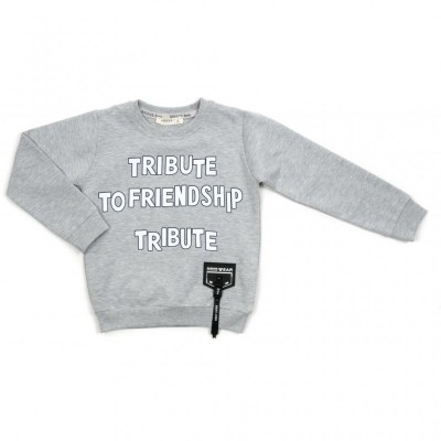 Набір дитячого одягу Breeze "FRIENDSHIP" (14775-116B-gray)