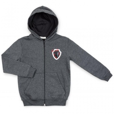 Кофта Breeze на блискавці (11785-116B-gray)