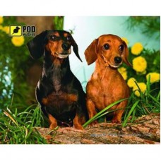 Килимок для мишки Pod Mishkou Таксы Килимок для мишки Pod Mishkou Таксы